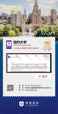 纽约大学